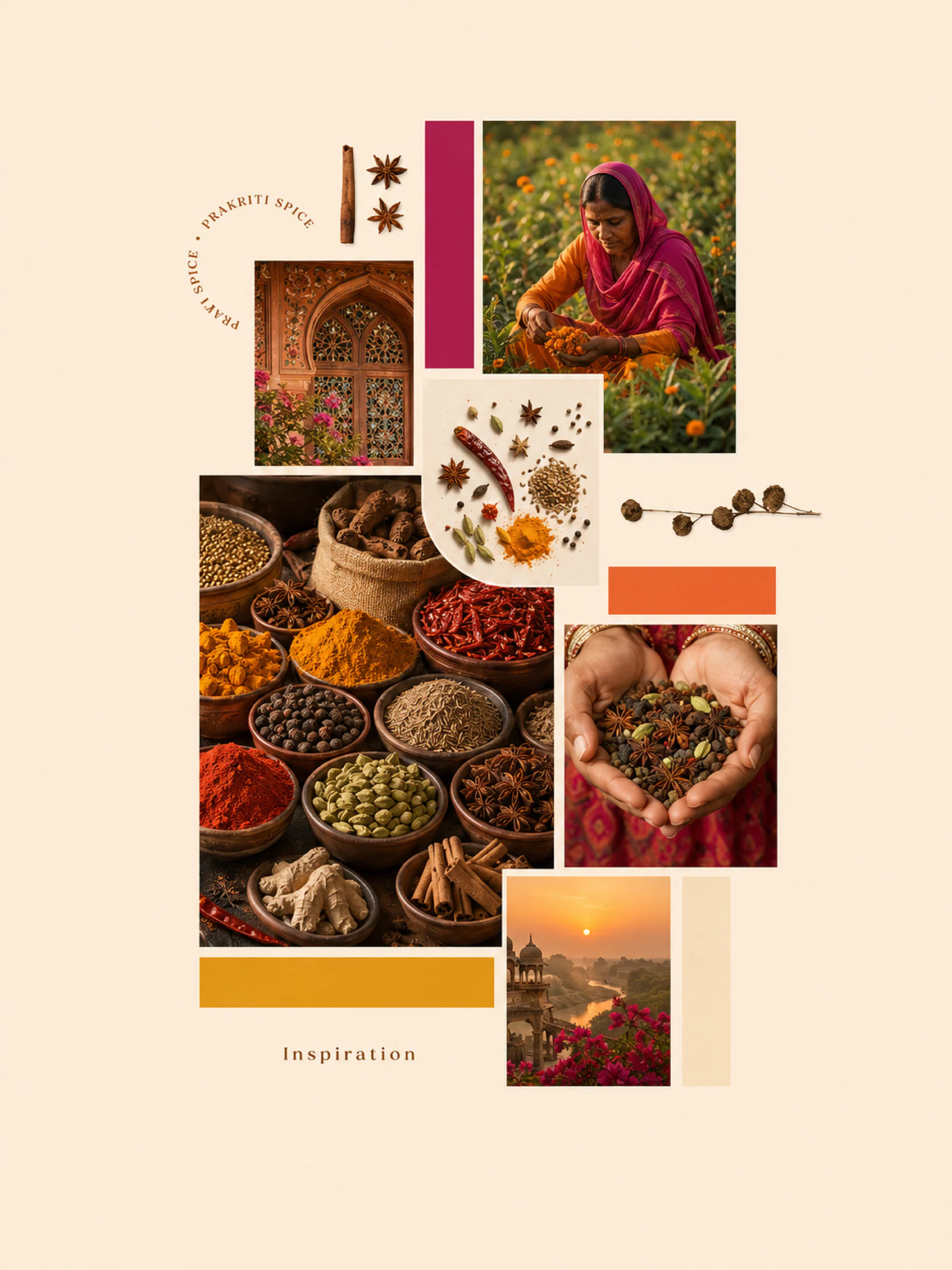 prakriti spice — the inspiration visual 2